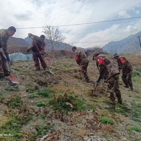 迭部生态建设管护中心水泊沟林场工作日报