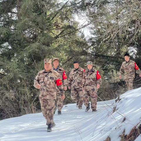 迭部生态建设管护中心水泊沟林场工作日报