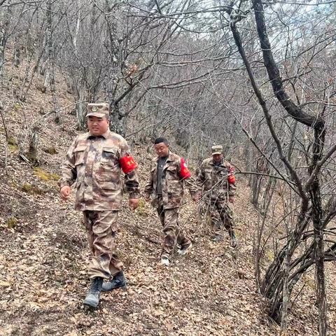 迭部生态建设管护中心水泊沟林场工作日报