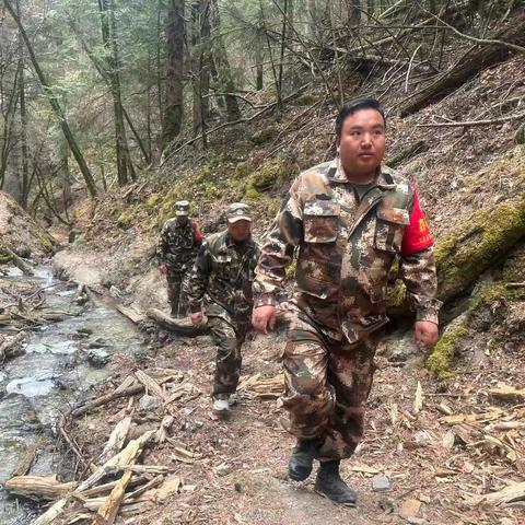 迭部生态建设管护中心水泊沟林场工作日报