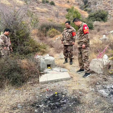 迭部生态建设管护中心水泊沟林场工作日报