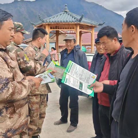 迭部生态建设管护中心水泊沟林场工作日报