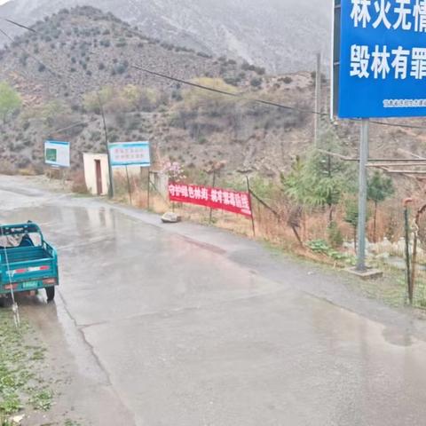 迭部生态建设管护中心水泊沟林场工作日报