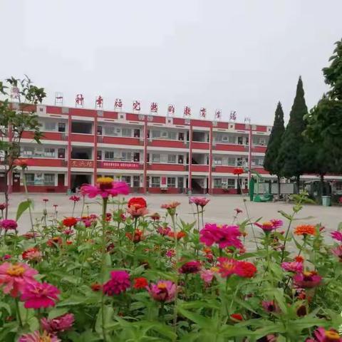 强师德，促师风———后河镇中心小学师德师风建设“清朗月”活动启动仪式