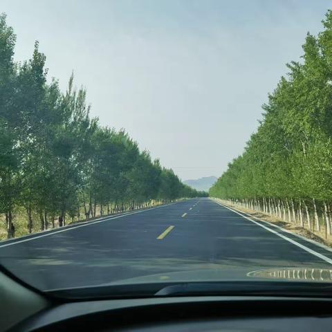 碎碎念、岁岁时光