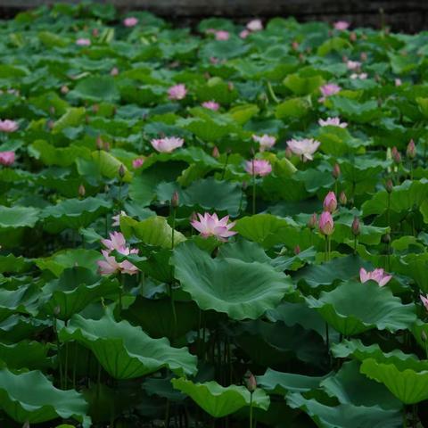 清水河信息简餐（2023-5-24）