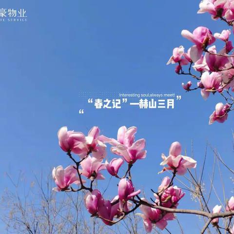 青特赫山3月第3周服务周报🌹🌹🌹