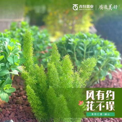 青特赫山物业服务中心5月第1周工作周报