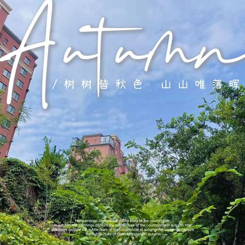 青特赫山物业服务中心8月工作简报