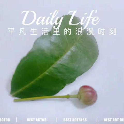 青特赫山物业服务中心10月份服务月报