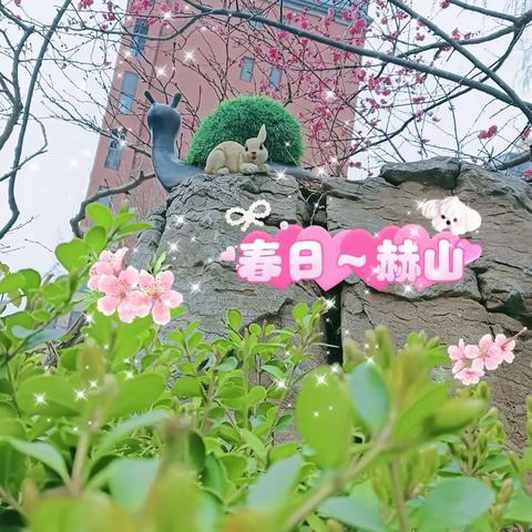 青特赫山物业服务中心三月🈷️报