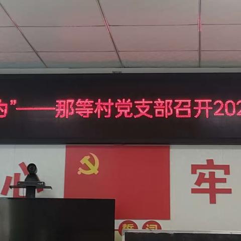 “归巢有爱、返乡有为”——八所镇那等村党支部召开2024年乡贤能人座谈会