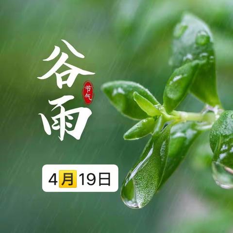 走进谷雨，悦探春之末——顺阳幼儿园【24节气谷雨 】