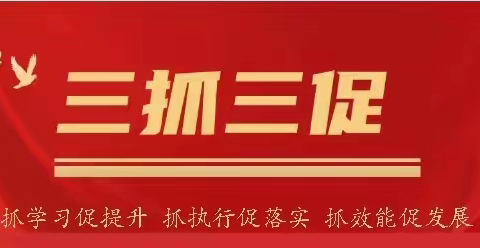 【“三抓三促”进行时】