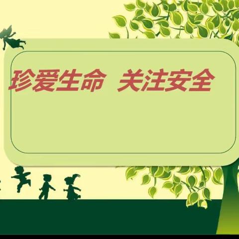 生命最可贵，安全第一位——前大堡小学国家安全教育日活动