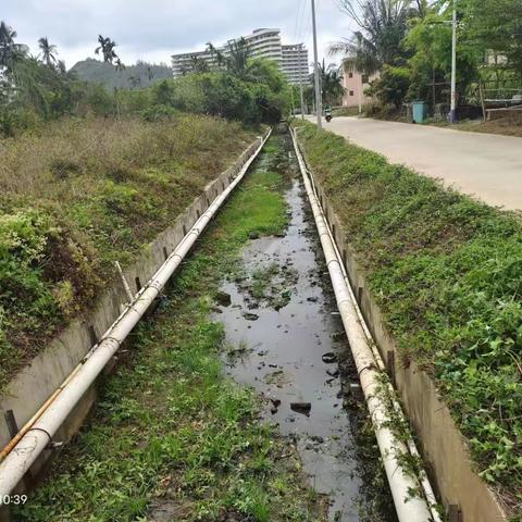 2023.4.6香水湾排沟污水治理工作简报