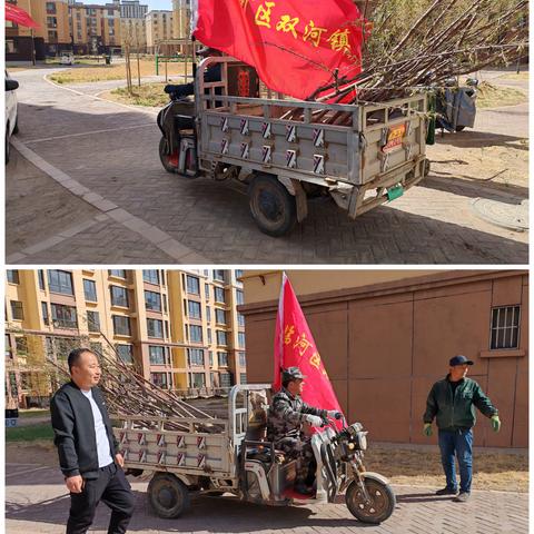 “年年种树树成林，代代植绿绿成荫”      ---双河镇学苑社区开展植树节活动