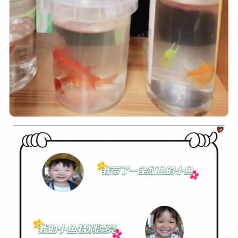 和“鱼”做朋友——西安市高陵区湾子第二幼儿园小二班课程故事