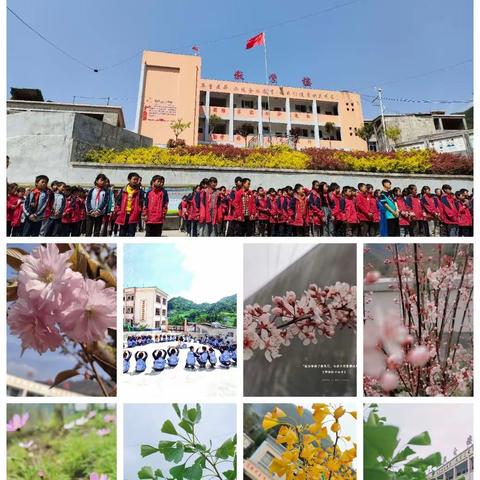 花山乡小米地小学“我为校园种棵树”活动倡议书