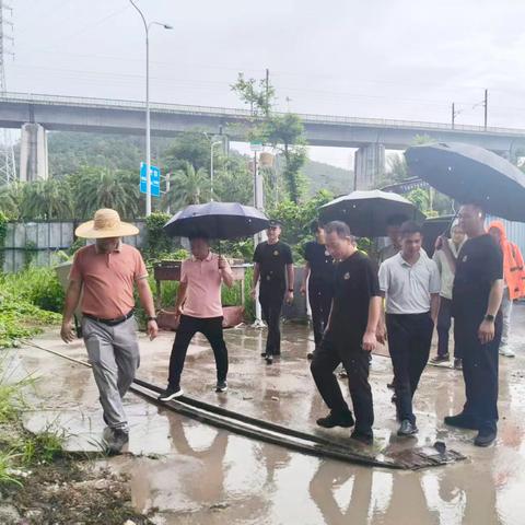 省疾控中心等多部门赴东河社区调研检查并精准部署蚊媒防控工作