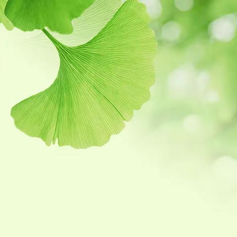 以军训之名   赴初中之约☘️——记白沙邦溪中学2023级新生军训会操暨总结表彰大会