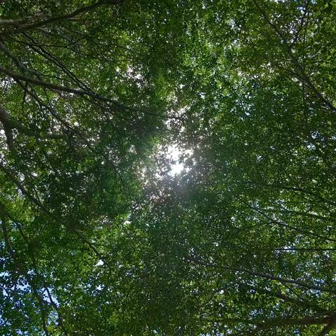 金秋启新程 师恩永铭记 共迎新学期与教师节 ——2024年秋季开学典礼暨欢庆第40个教师节