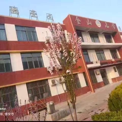 劳动砺心志，实践促成长——戴庙镇金山小学劳动实践基地丰收纪实