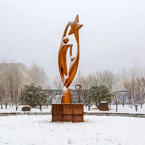 春雪落水院 ——山东水利技师学院春日校园掠影之三