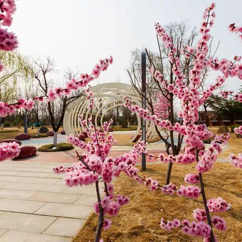 春日校园景如画 —山东水利技师学院春日校园掠影之三