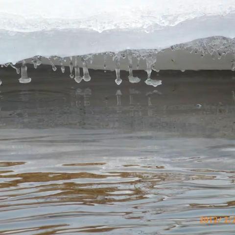 照庆小学冰雪消融期致家长一封信