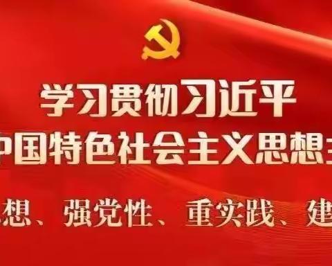 娜荷芽幼儿园《学思想  强党性  重实践  建新功》主题党日活动