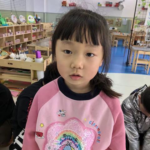 【一外附幼“活·宜”课程】计划很重要（大五班）