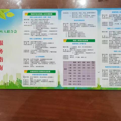 宣传残疾人服务好政策