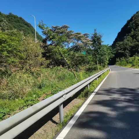 茂仙的简篇