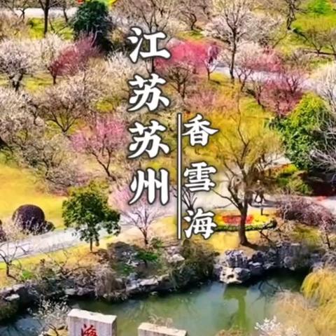 3月1日（周六）苏州香雪海赏梅、木渎古镇休闲一日游