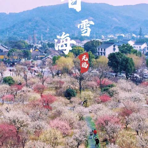 3月9号（周日）苏州香雪海赏花、甪直古镇休闲一日游