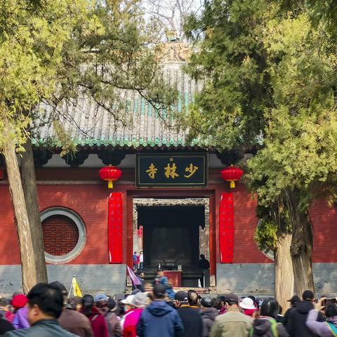 豫游豫欢