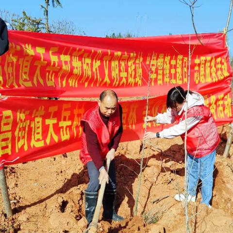 汉昌街道天岳村开展“植树造林，美化家园”活动