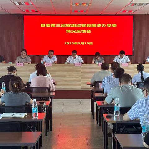 县委第三巡察组向国资办党委反馈巡察情况