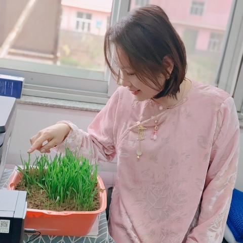 时光印记——泥土里的希望（五）