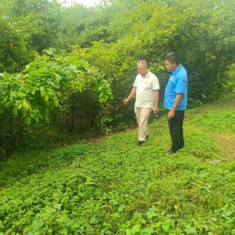 保障双节，美兰环卫大队开展水域专项巡查
