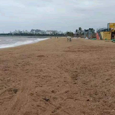 风雨践使命 聚力净岸线