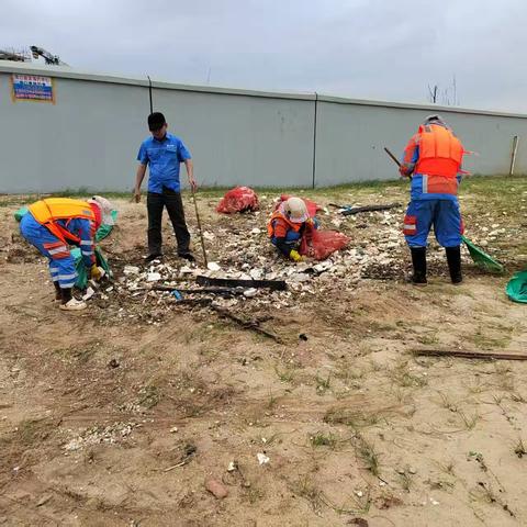 “洁净海岸”行动中，海口京美公司全力攻坚，高效清理岸滩垃圾