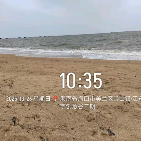 “洁净海岸”行动中，海口京美公司全力攻坚，高效清理岸滩垃圾（二）