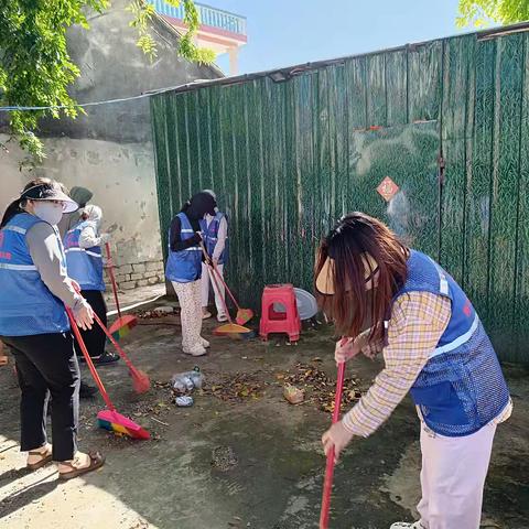 三公里村联合区政协开展“翻盆倒灌 预防登革热”周末大扫除活动