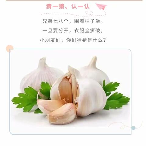 “蒜”出乐趣“蒜”你可爱