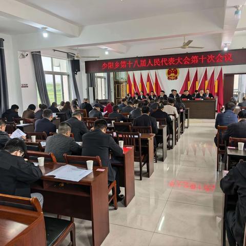 凝心聚力谋发展 履职尽责惠民生 少阳乡第十八届人民代表大会 第十次会议胜利召开