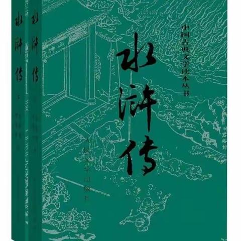 【共读乐写同成长】庙前中心校庙前示范小学李慧妍《水浒传》