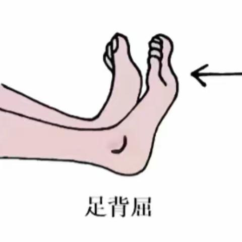 动起来  “拴”不住——血栓预防之踝泵运动