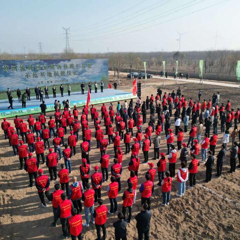 黄河流域国家储备林碳汇开发示范基地揭牌仪式在定陶区冉堌镇举行